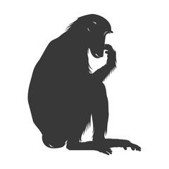 Silhouette Proboscis monkey animal black color only