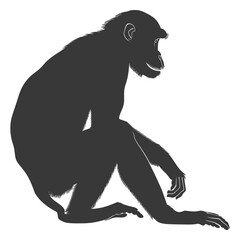 Silhouette Proboscis monkey animal black color only