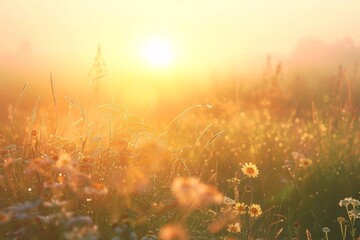 Beautiful view of the sun rising over an open field with tall grass and wildflowers The misty morning air adds to the serene atmosphere, creating a picturesque scene that captures nature Generative AI