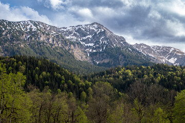 landscape in the mountains