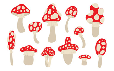 Set of mushrooms. Autumn fly agarics.