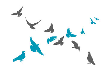 Flocks of flying pigeons isolated on white background. Pigeons are standing on the ground. hand drawing. Not AI, Vector illustration