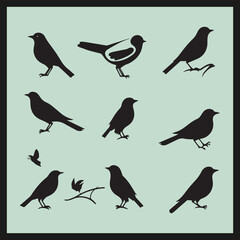 Bird SET black Silhouette vector