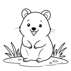 Cartoon Quokka for toddlers book