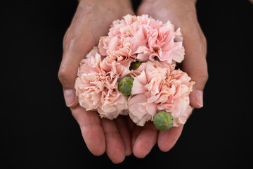 Top view of woman hands holding fresh pink carnations.