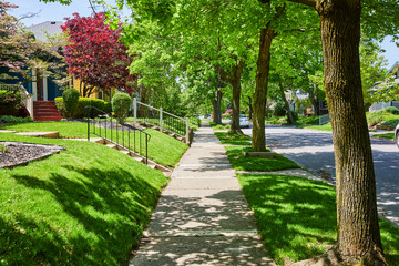 Sunny Suburban Street with Colorful Houses and Lush Greenery, Eye-Level View