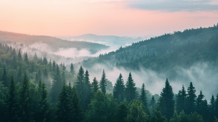 Mystical forest landscape with dense fog and layered mountain backdrop at twilight.