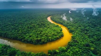 From above, there are magnificent views of lush green rainforest and a yellow river meandering through tropical biodiversity.
