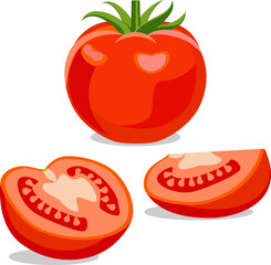 Ripe red tomato vector illustration. Whole tomato with leaves, half tomato, tomato slice isolated on white background