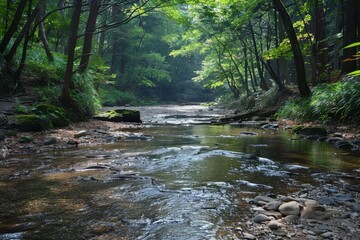 Obraz premium Tranquil Stream Amidst Lush Forest Wilderness
