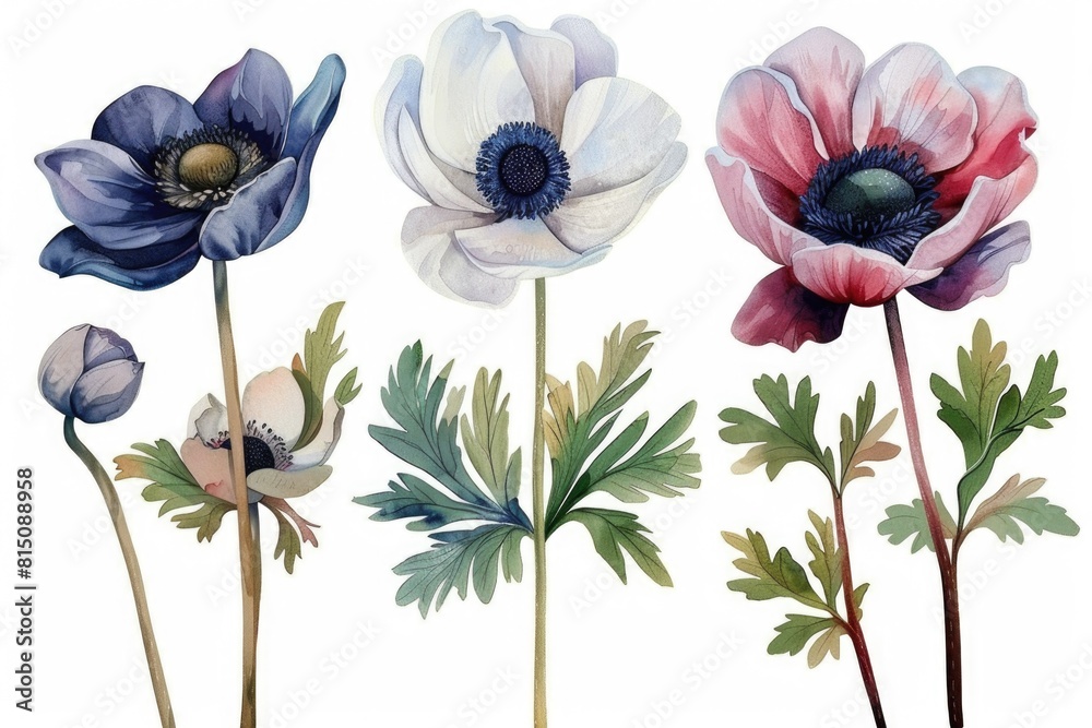 Poster a bunch of flowers grouped together. suitable for various design projects