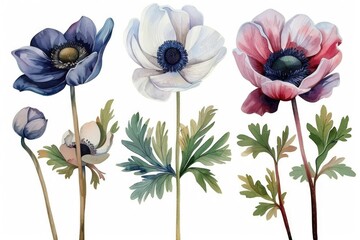 A bunch of flowers grouped together. Suitable for various design projects