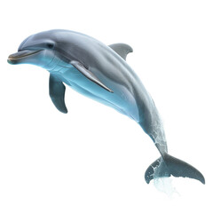 Fototapeta premium A bottlenose dolphin leaping on a Png background, a bottlenose dolphin isolated on transparent background