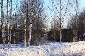uninhabited abandoned houses in old villages from the times of collective farms and collectivization in the Soviet Union. 1930-1940-1950 of the last century, surrounded by forests and fields
