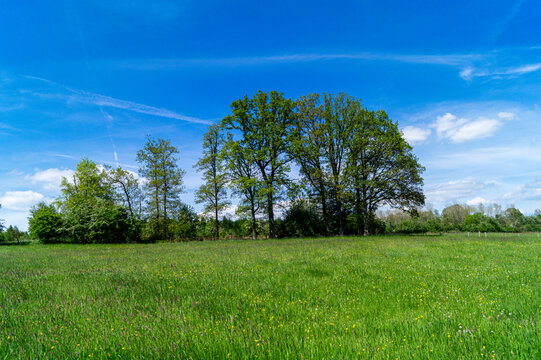 Promenade du point de vue de Ster