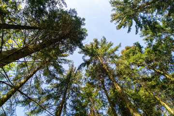 Promenade du point de vue de Ster © fagnard