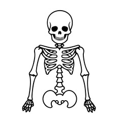 Cute vector illustration Skeleton for kids coloring activity page