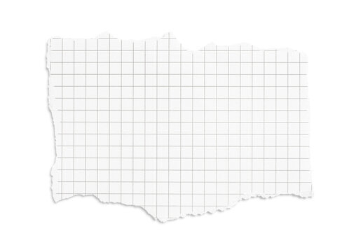 Torn piece of graph paper isolated on transparent background