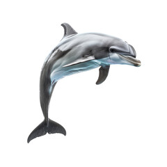 Obraz premium A dolphin is leaping into the air against a plain white backdrop, a dolphin isolated on transparent background