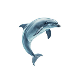 Obraz premium A blue dolphin jumps gracefully against a clean Png background, a dolphin isolated on transparent background