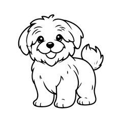 Cute vector illustration Havanese hand drawn for kids coloring page