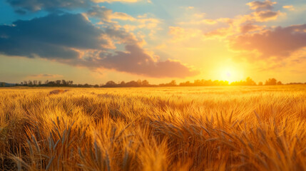 Obraz premium Agricultural investment funds for portfolio diversification