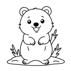 Cute vector illustration quokka hand drawn for kids coloring page