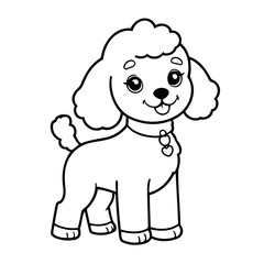 Cute vector illustration poodle drawing for colouring page