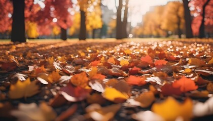 Golden Maple leaves on the ground depict the arrival of the autumn season.