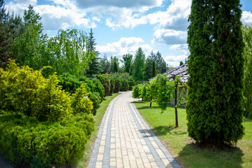 elements of landscape design. country house hotel. beautiful lawn with ornamental trees and benches
