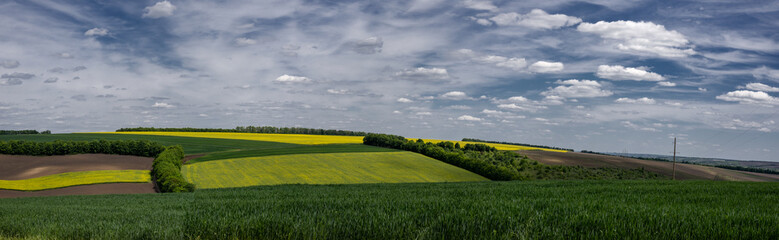 Agro-industrial fields.Spring fields of central Ukraine.Rapeseed flowering.Hanging clouds along the...