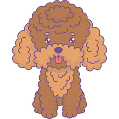 Funny dog poodle