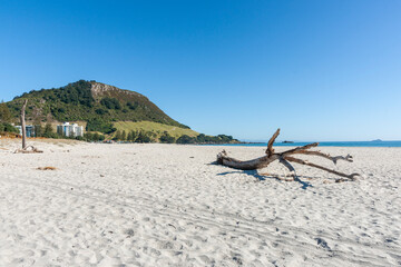 Driftwood on sandy Mount Maunganui main-beach with famous landmark background