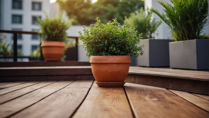 Contemporary City Living, Stylish Terrace with Wood Deck and Plants