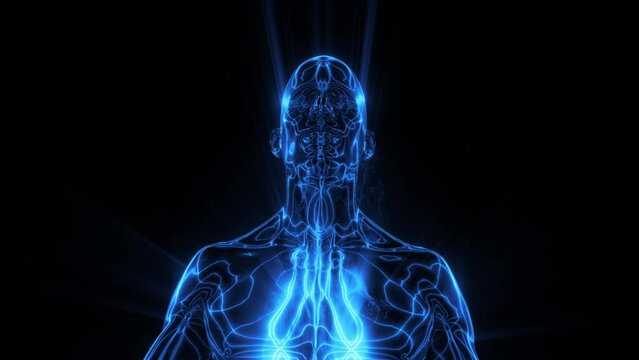 A human character meditating where we see the energetic fields of the body represented in pulsating lines and shimmering colour.