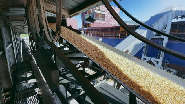 Grain trade, delivery by dry cargo ship by sea. Close up silo belt with grain corn