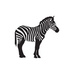 Zebra silhouette vector black and white illustration standing