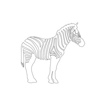 recommend clip art: Zebra line art vector stroke illustration