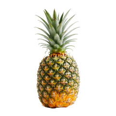 Fototapeta premium A single ripe pineapple placed on a clean Png background, a pineapple isolated on transparent background