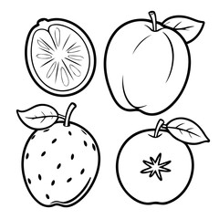 Vector illustration of a cute Fruits doodle for toddlers coloring activity