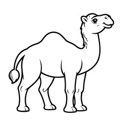 Cute vector illustration Camel drawing for children page