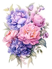 pink and white peonies watercolor drawing on white background
