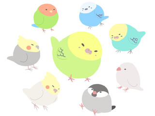 インコあつまり