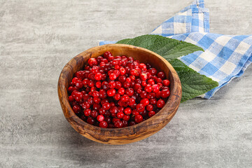 Ripe sweet wild organic cowberry