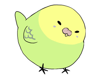 セキセイインコ グリーン