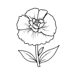 Cute vector illustration Carnation for kids coloring activity page