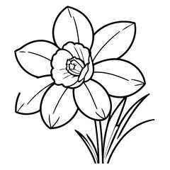 Vector illustration of a cute Daffodil drawing for children page