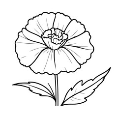Cute vector illustration Carnation doodle for kids colouring page