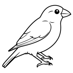Simple vector illustration of Finch for kids coloring page