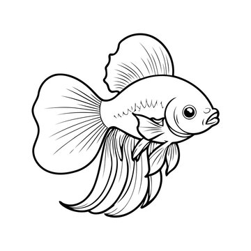 recommend clip art: Simple vector illustration of Betta outline for colouring page